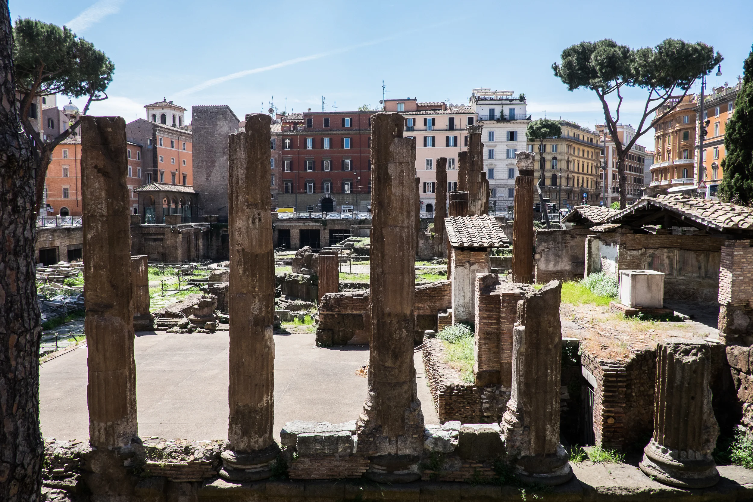 Area Sacra di Torre Argentina, very near where Brutus killed Julius Caesar. Exact location is unknown.