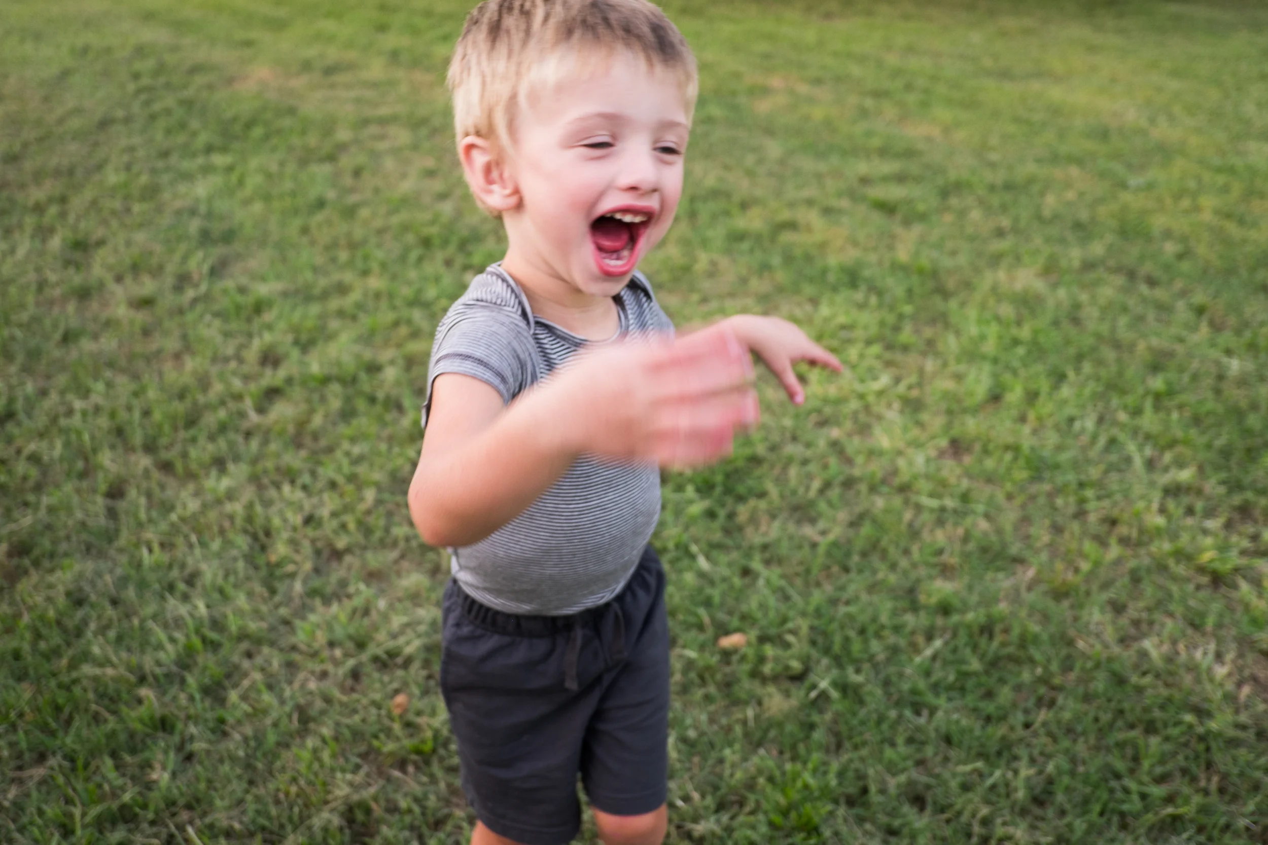 Farm Joy