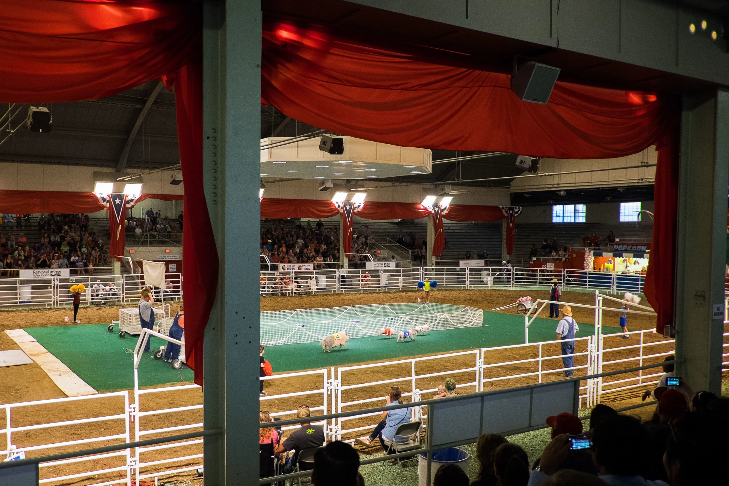 And in the South, you must have Pig Races. Ours won two of three races. We headed home on a high note!