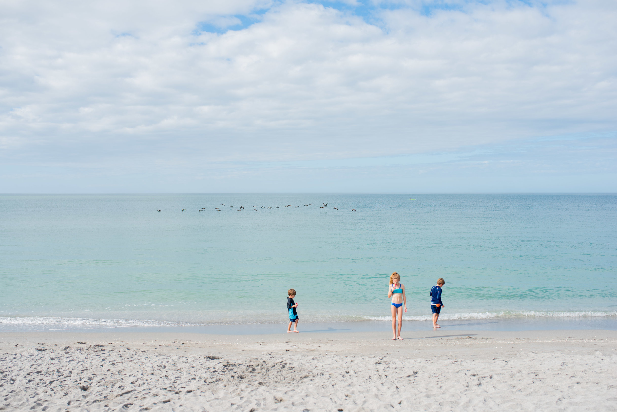 On the hunt for those elusive shark's teeth. 