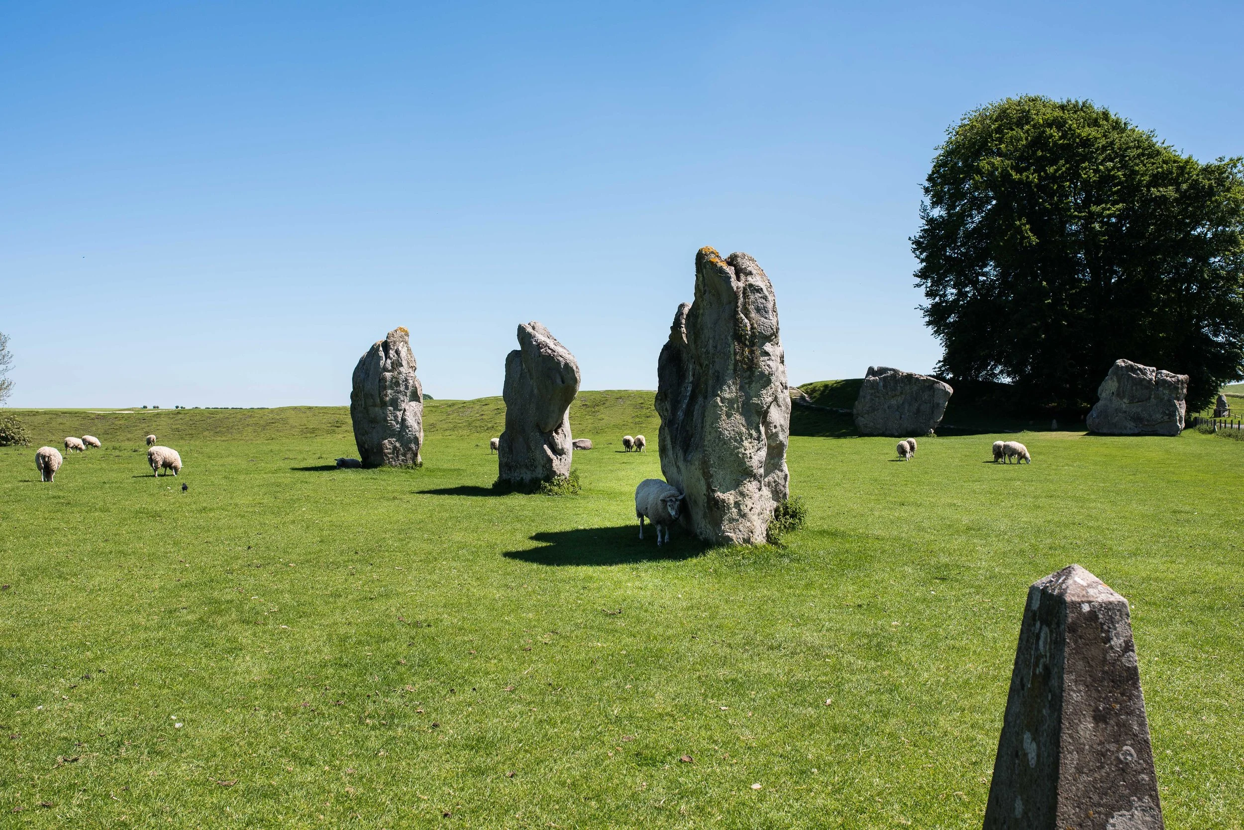 Similar to Stonehenge, this is another ancient site of standing stones. Unlike Stonehenge, this site is far larger (nearly 30 acres) and you are free to walk right up to the stones. And pet the sheep. Just don't tell the officer at customs that you pet the sheep. 