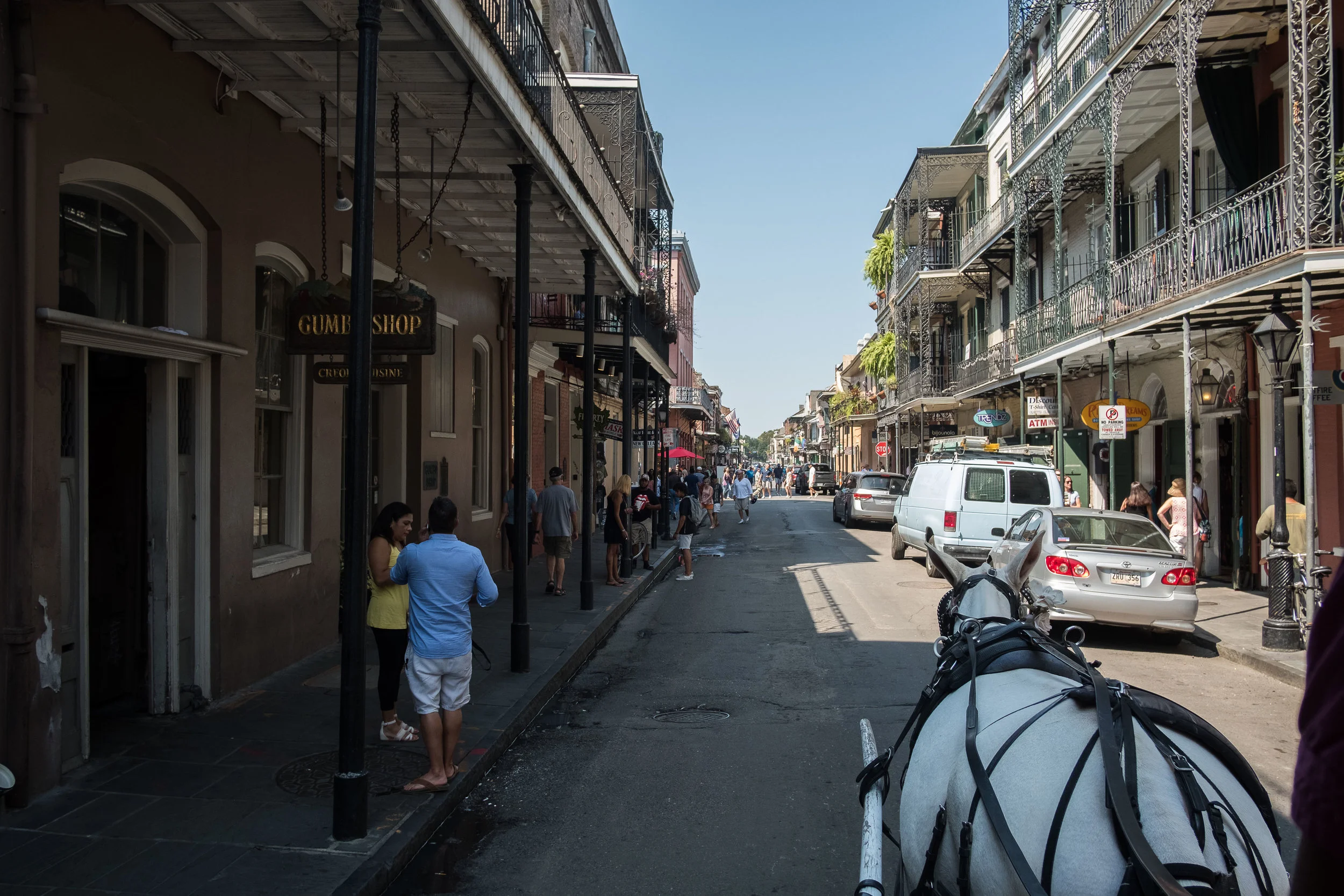 Our mule's name was Lestat.&nbsp;