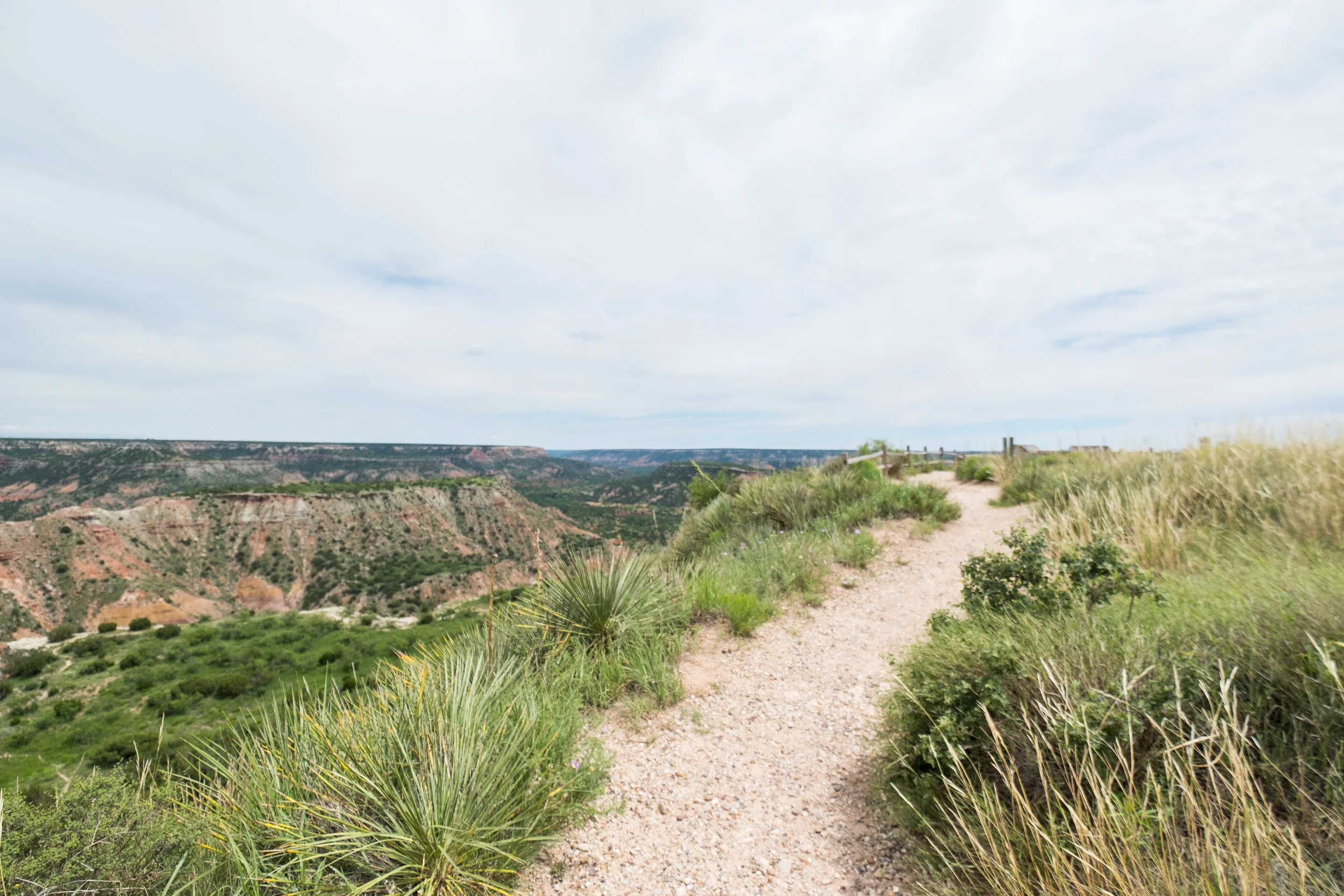 2019.06 Selects-9.jpg