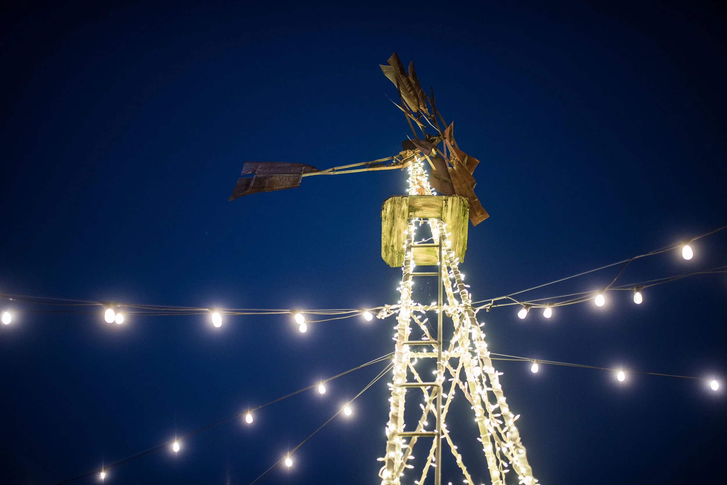 2019.07 Selects-54.jpg