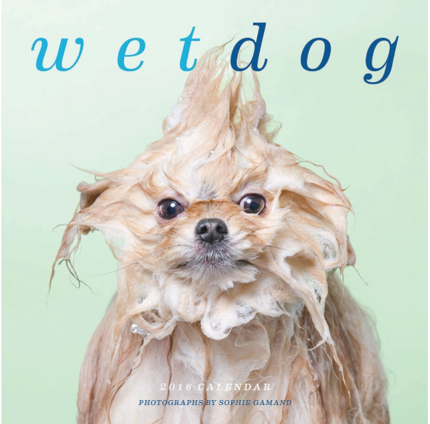 Maybe because this is my first year as a dog owner, I found this Wet Dog Calendar absolutely hilarious. My dog, Charlie, isn't quite as unusual when he's wet as these doggies are, but maybe he'll make it in next year!