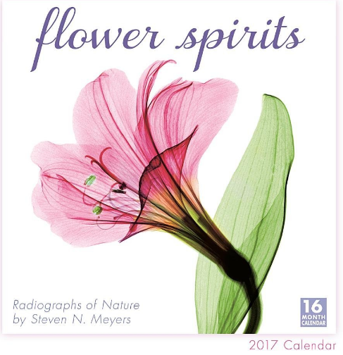 I love to decorate my studio with calendars and this is one I can't wait to have. I love flowers. The Flower Spirits 2017 Calendar uses x-ray photography to capture the texture and details of flowers in invisible light.