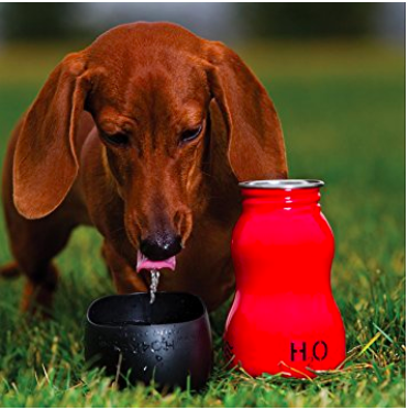 Charlie also needs one of these Cool Water Bottles designed especially for dogs. The wide lid flips over into a drinking cup. 