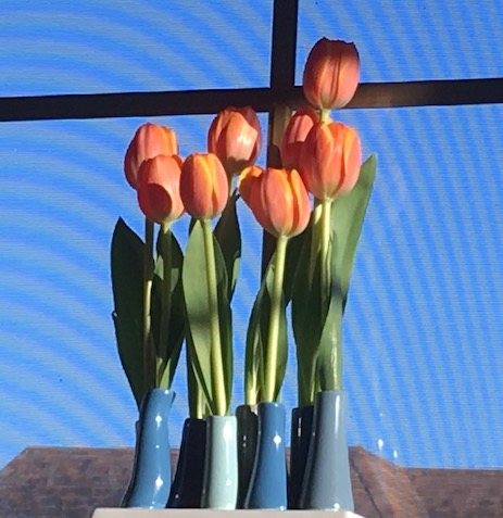Here's my vase filled with pale orange tulips. It's perched on the window sill next to my computer.