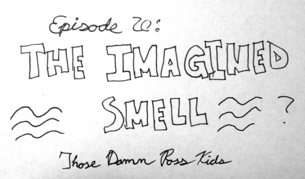 20-theimaginedsmell.jpeg