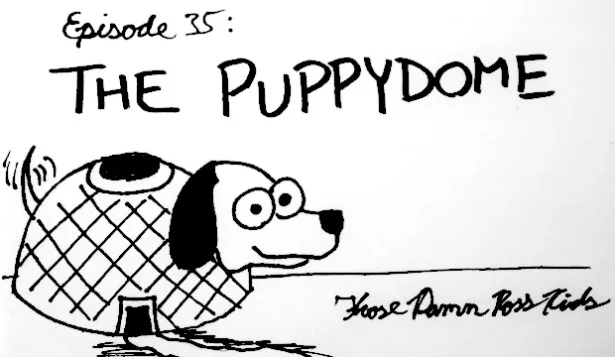 35-puppydome.jpeg