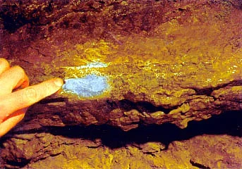 17. Rich Creamy Vein