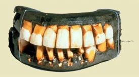 Episode 24: Teeth for Brushers Magazine