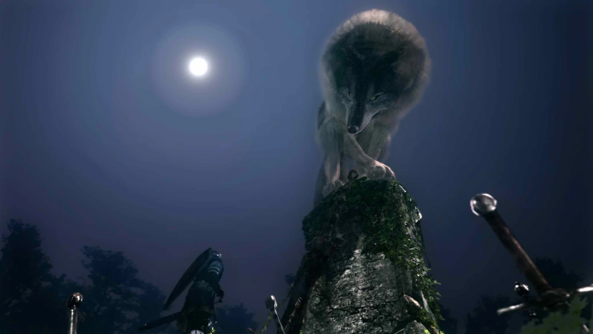 Appendix 9: Darkroot Basin and New Londo Ruins