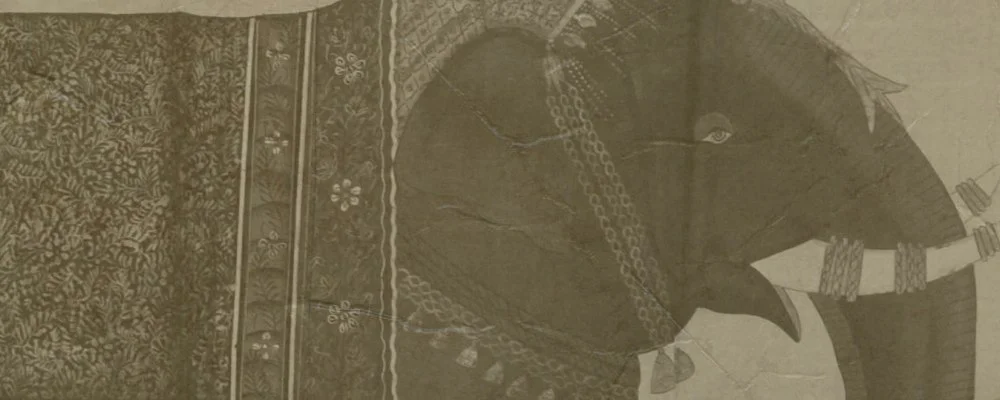 Those Damn Ross Kids Episode 153: Father of 5-4-3-2-1