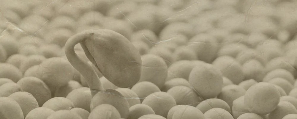 Episode 156: A Hit Off the Soy Box