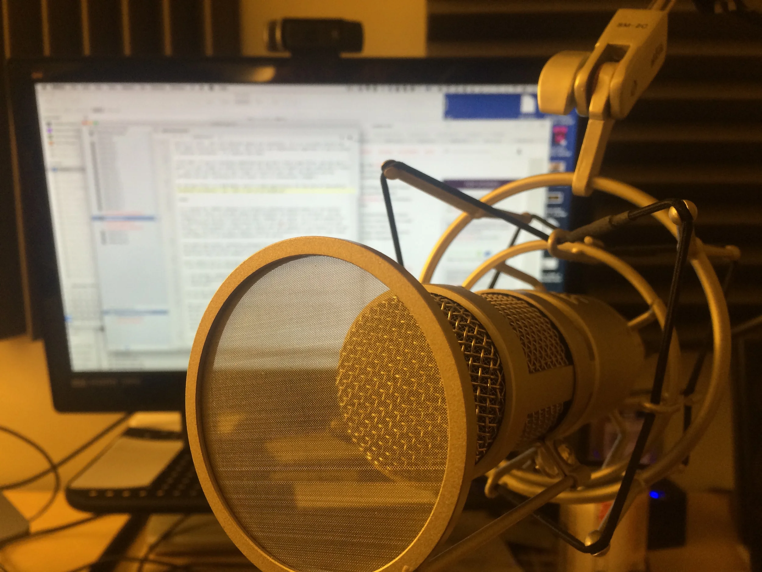 Microphones, Pop Filters, and the Praises of the Heil PR-40