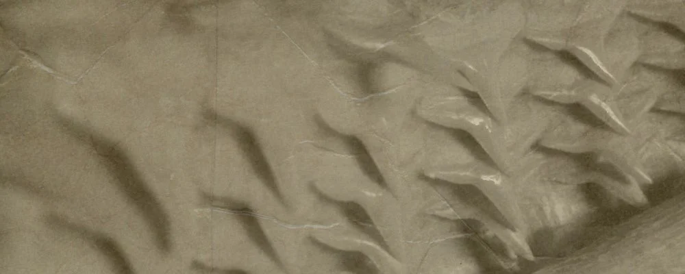 Episode 159: Just Drink the Water