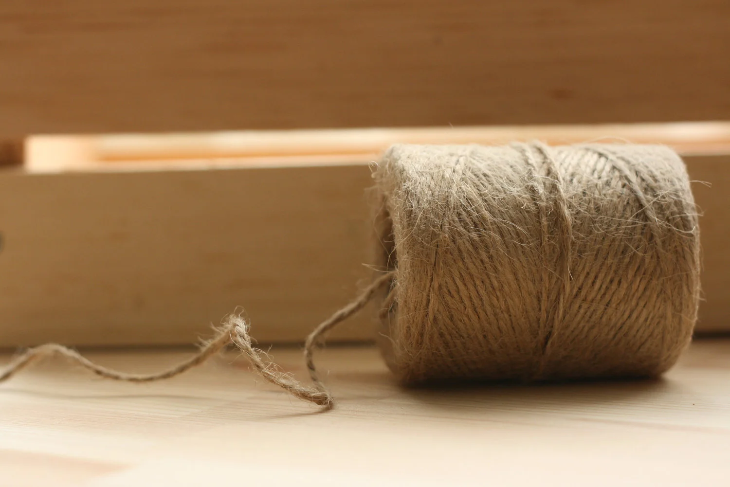 Thirty One: TWINE! Powercycles and Tea Leaves