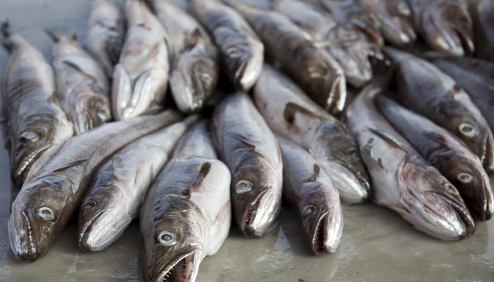 Extrasode 96: Call of Duty 4: Modern Warfare