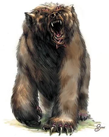 11: Bears