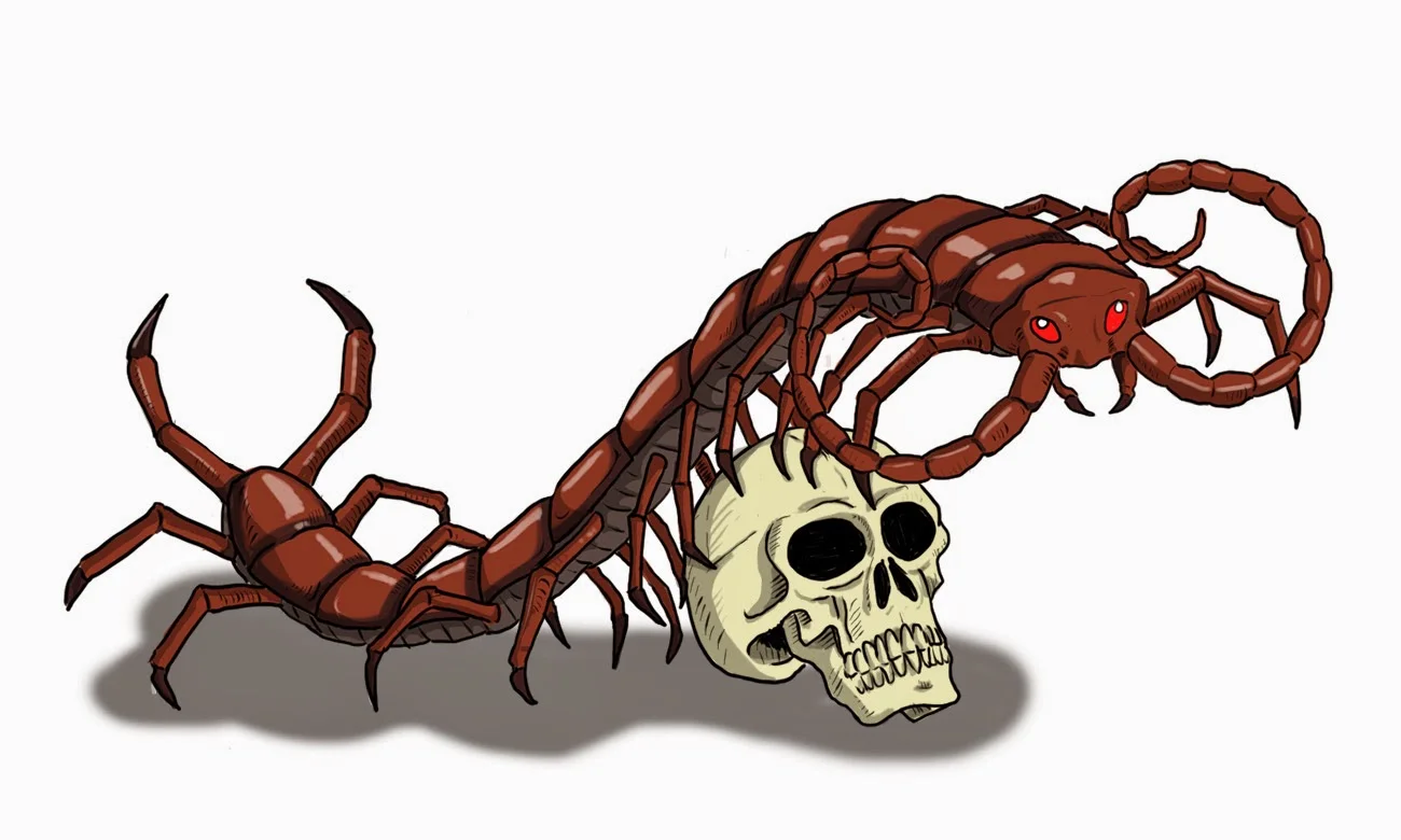 33: Centipede