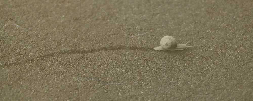 Episode 187: Snail Trail