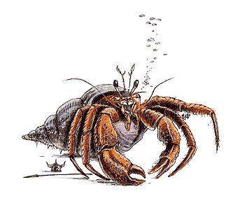 41: Crustacean, Giant