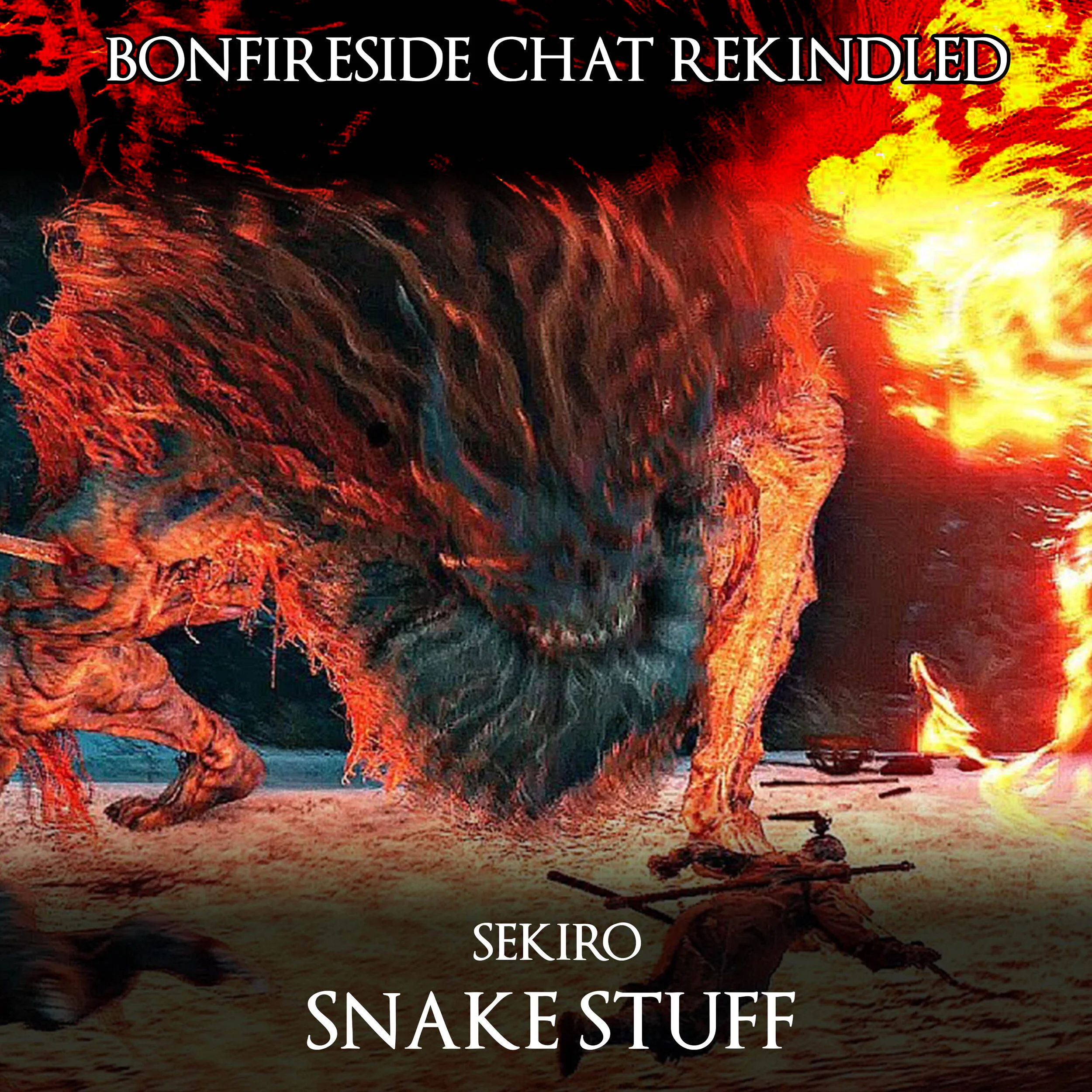 Snake Stuff