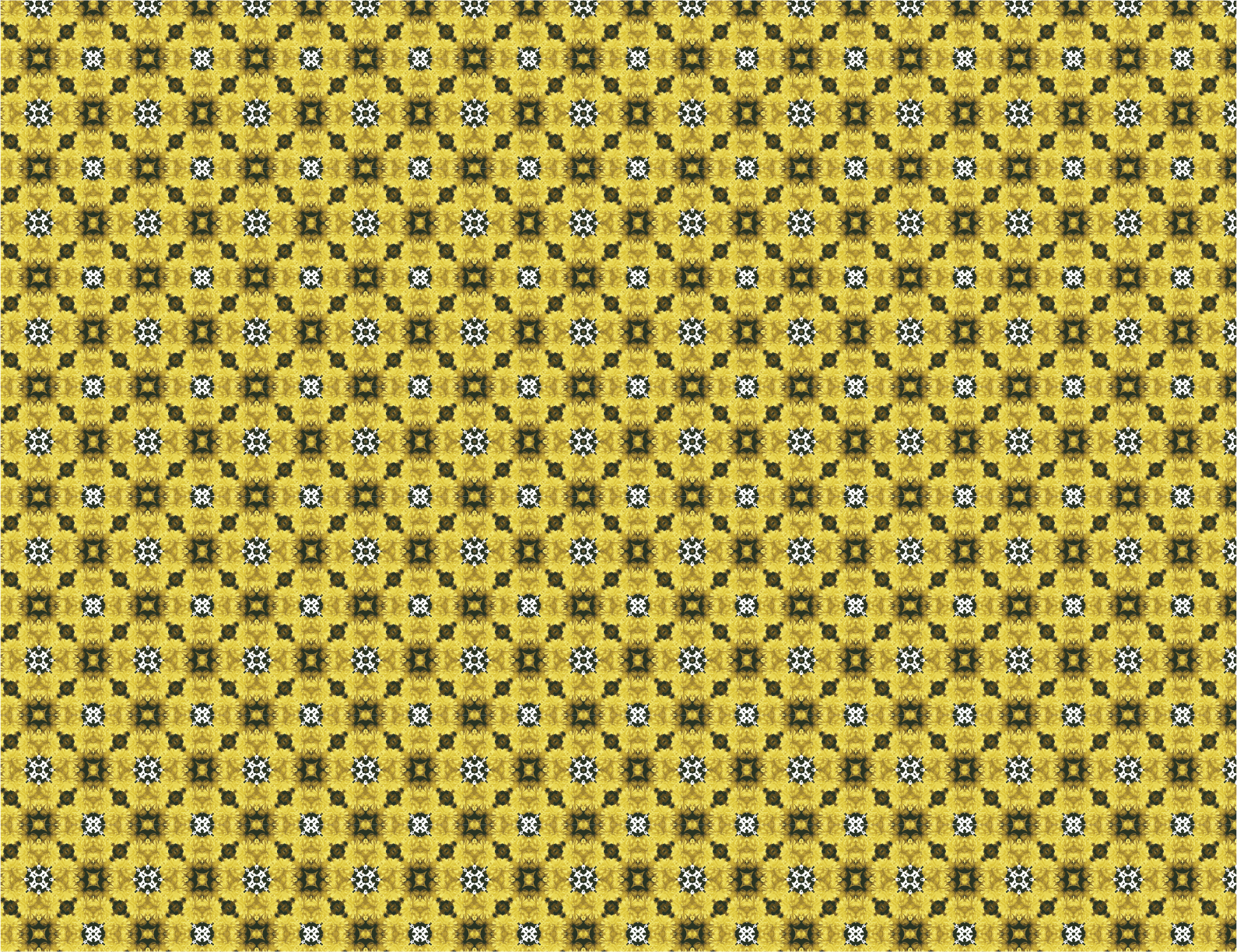 yellowbk@2x.png