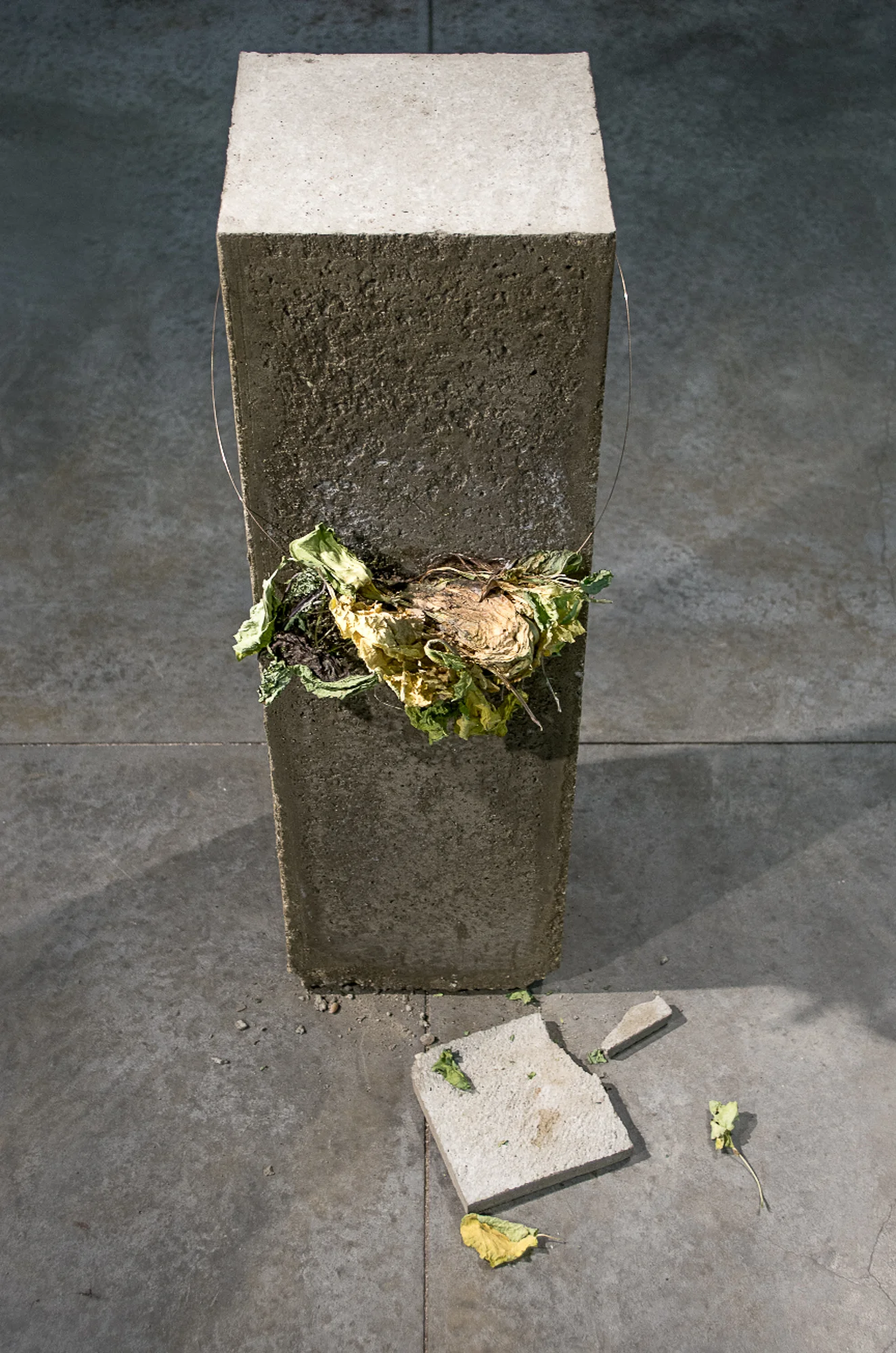 IMGP7168.jpg