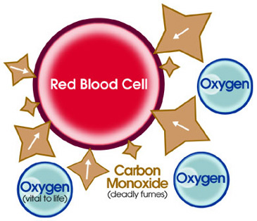 found at http://www.cdc.gov/co/faqs.htm