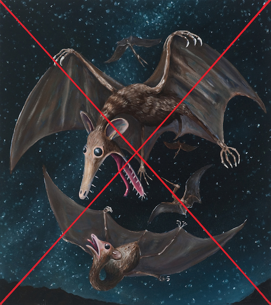 Note on the Pterodactyle Tribe considered as Marsupial Bats / Note: This Image is not a Factually Accurate Paleontological Restoration