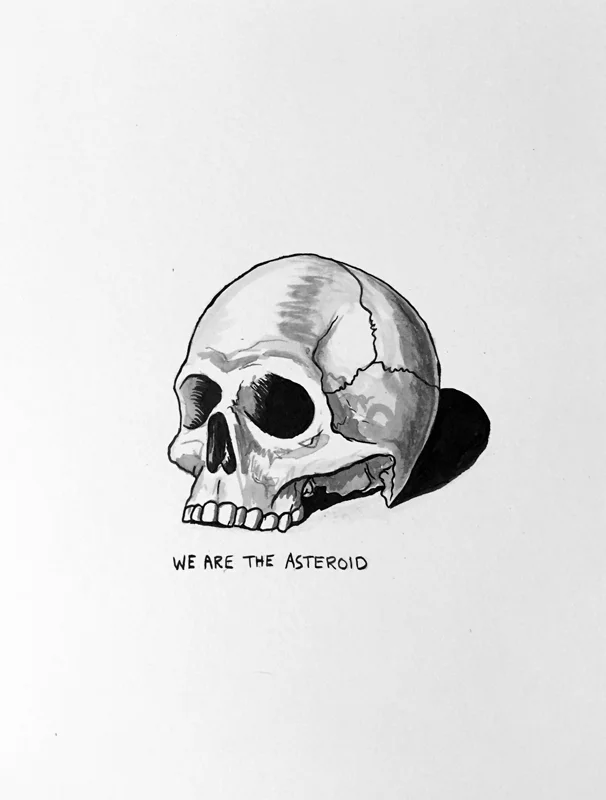 We are the Asteroid