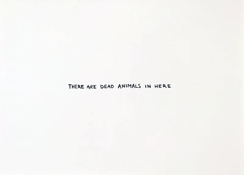 There are Dead Animals in Here