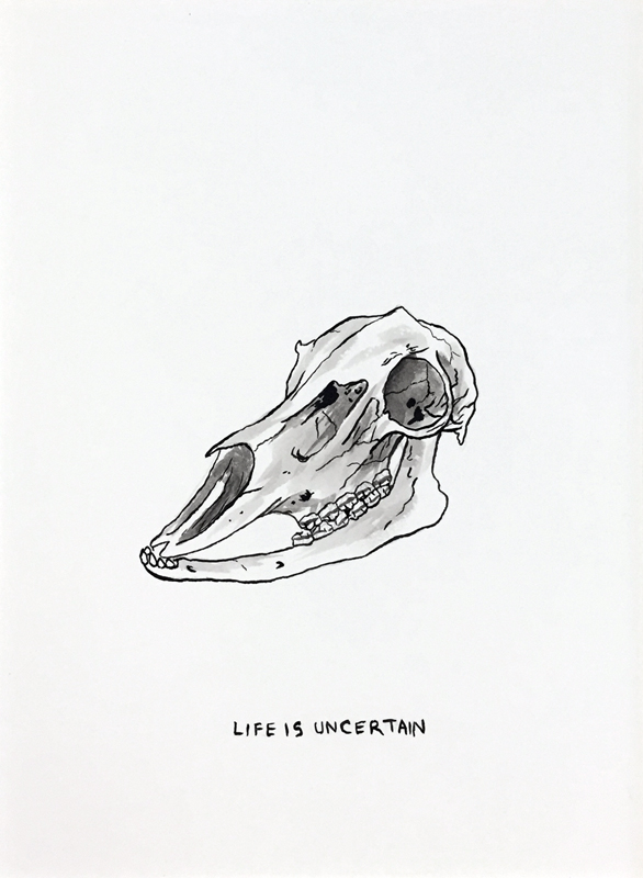 Life is Uncertain