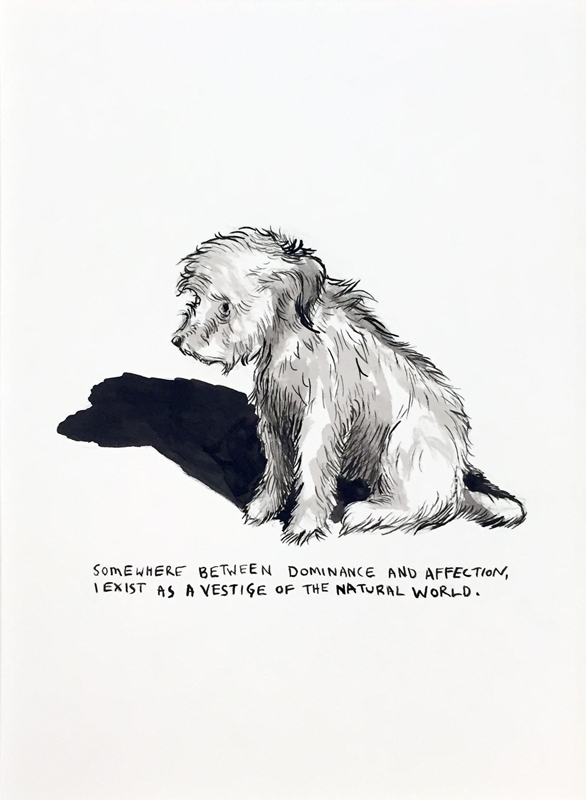 Somewhere Between Dominance and Affection