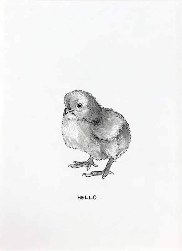 Hello