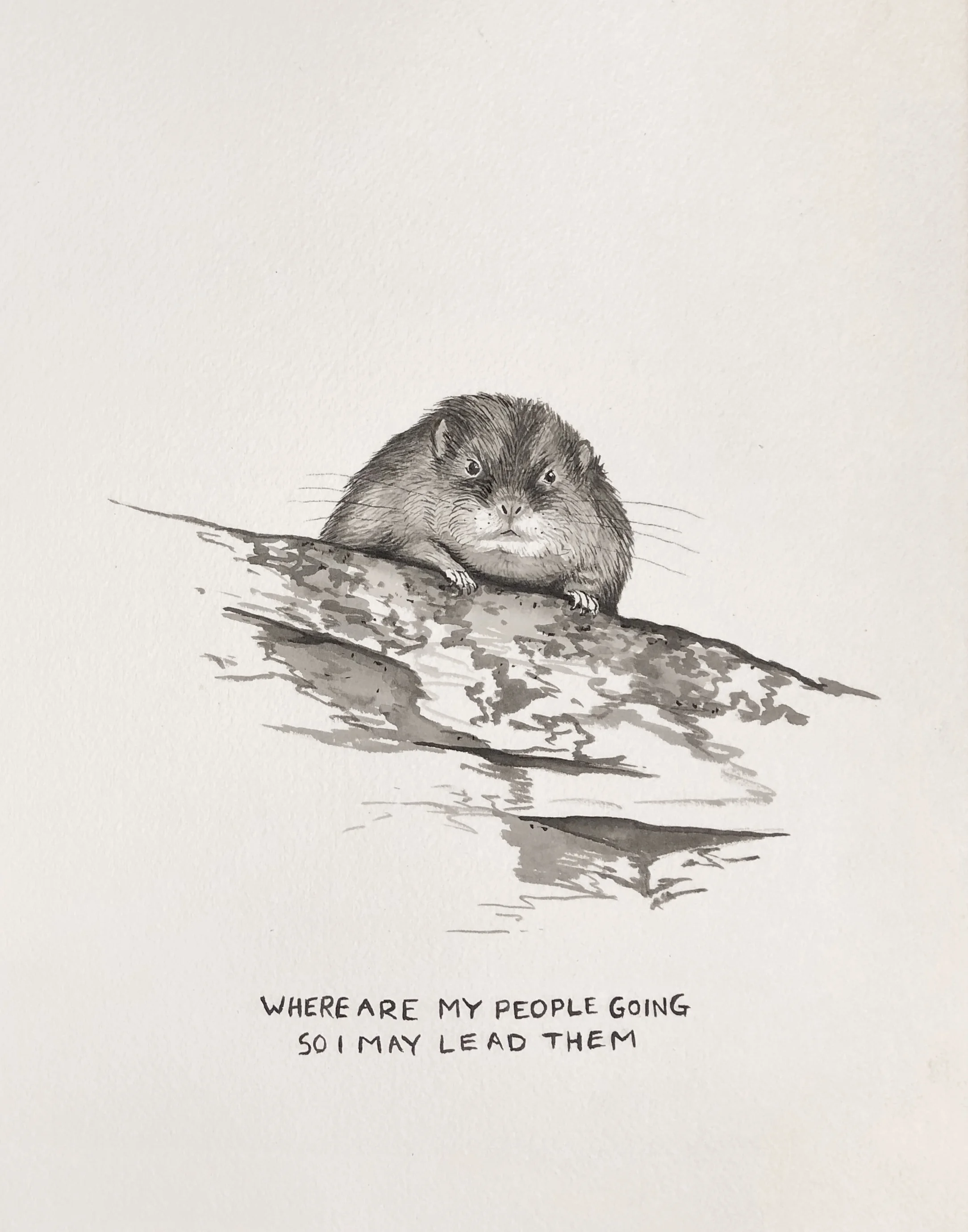Where Are My People Going, So I May Lead Them