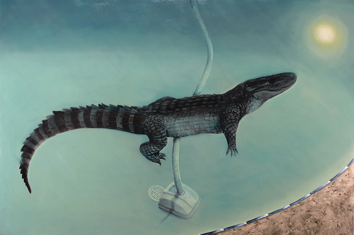 Alligator in Swimming Pool