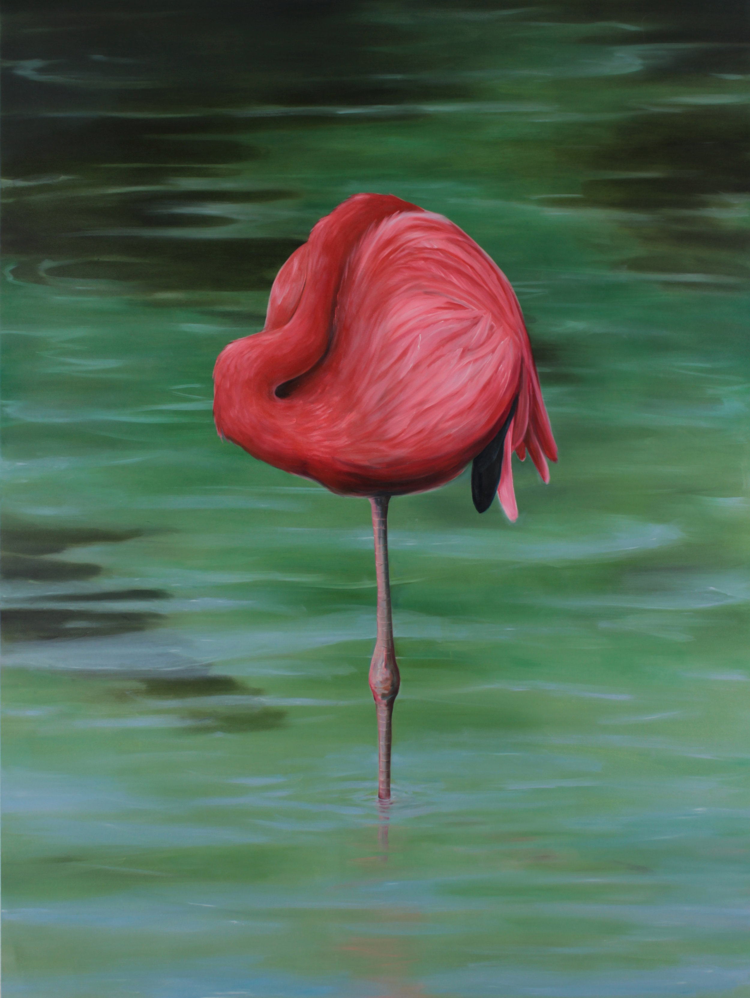 Flamingo