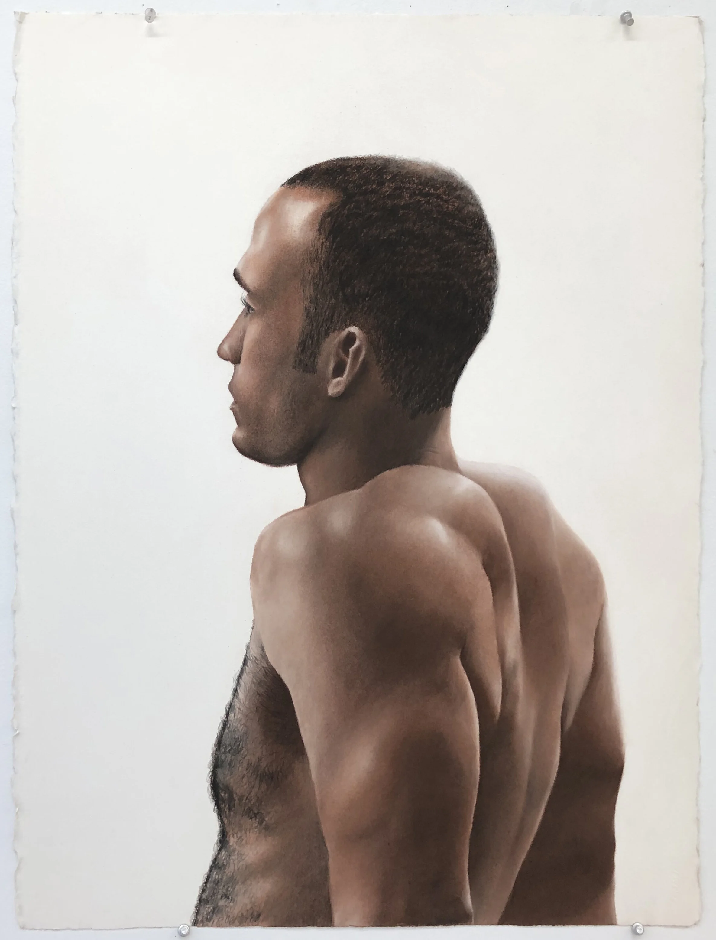  charcoal pencil, umber pencil, raw umber pencil  2019  course : The Human Body 