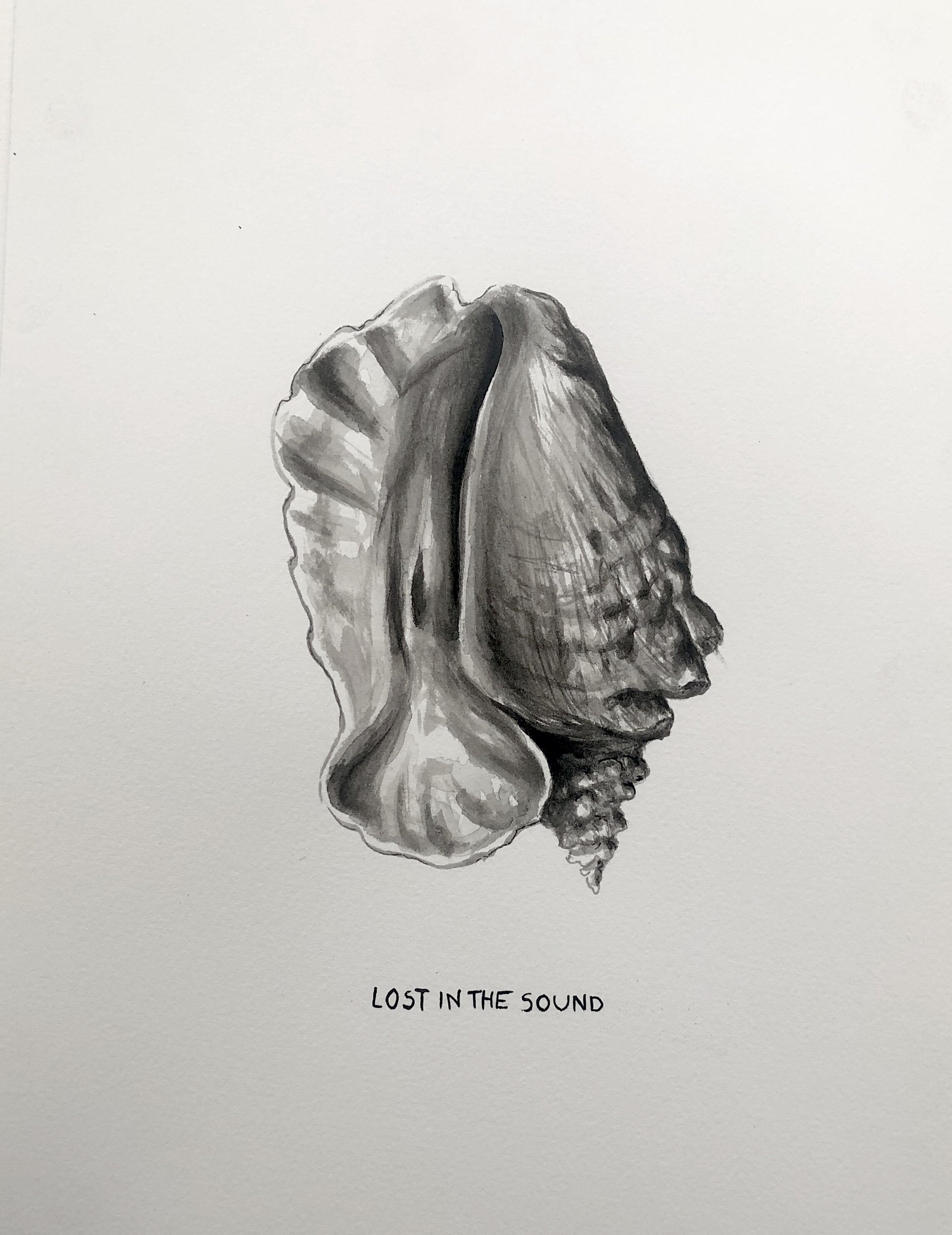 Lost in the Sound