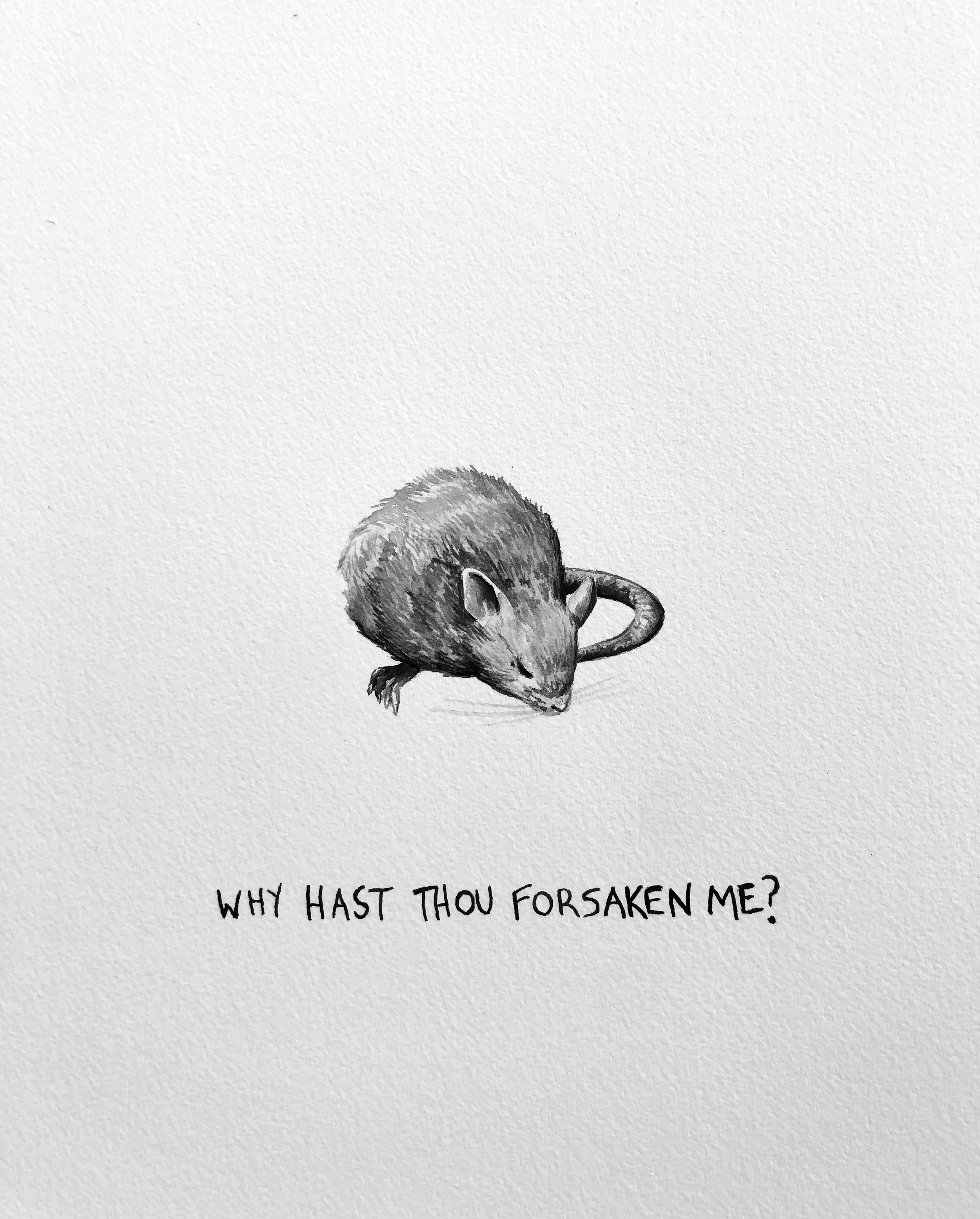 Why Hast Thou Forsaken Me?