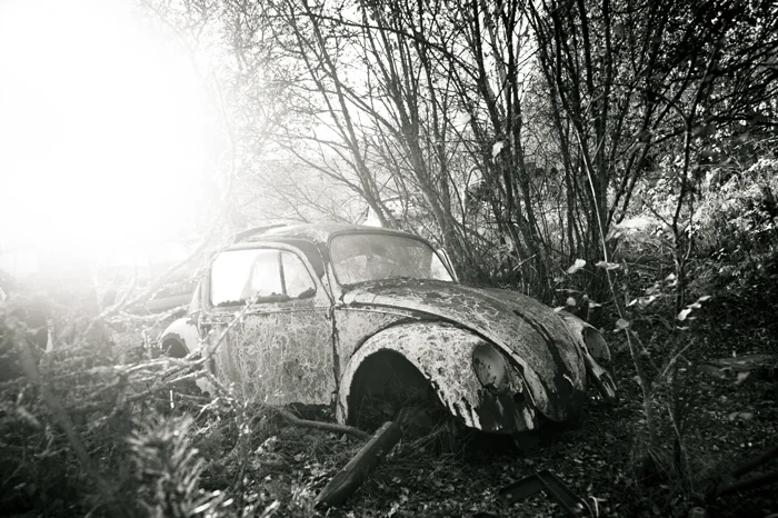 Apocalyptic Beatle