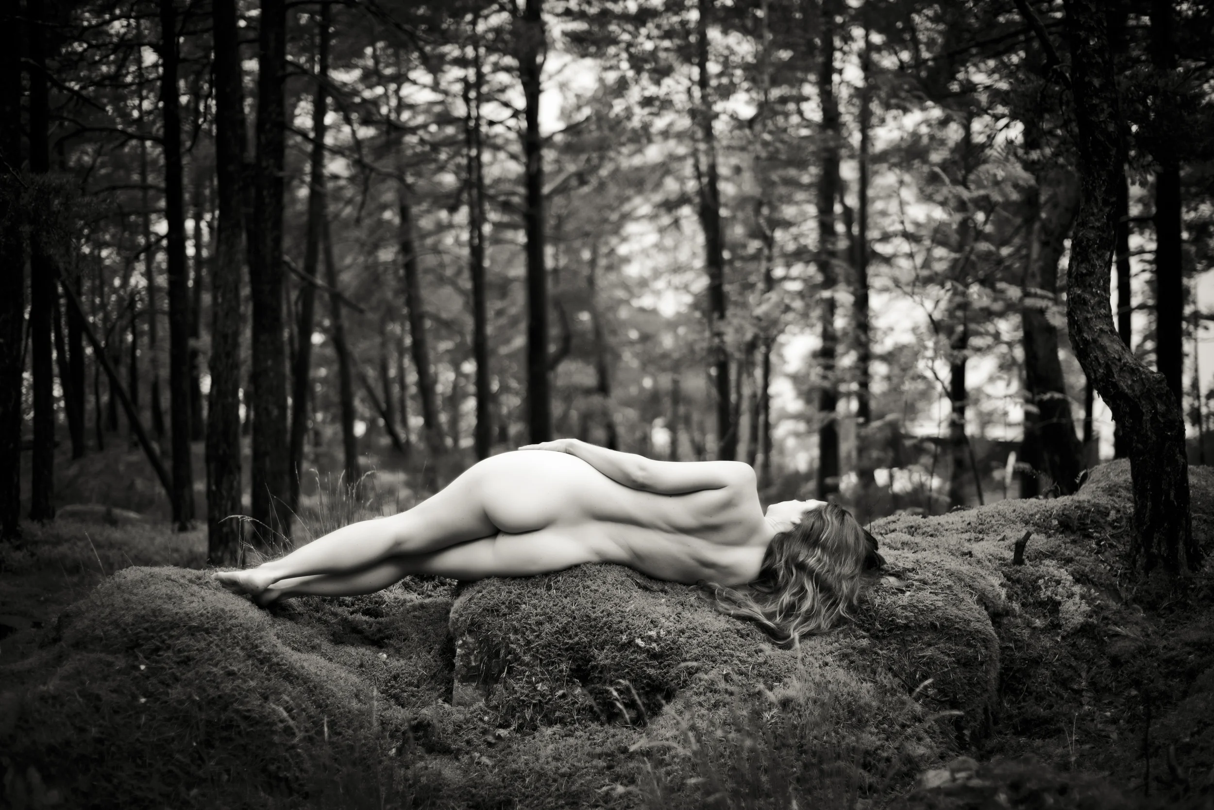 DSC_7553-Edit.jpg