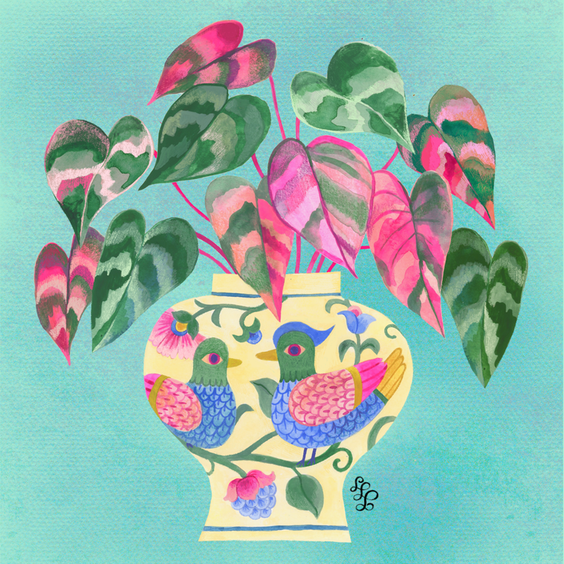 plant-800px.png