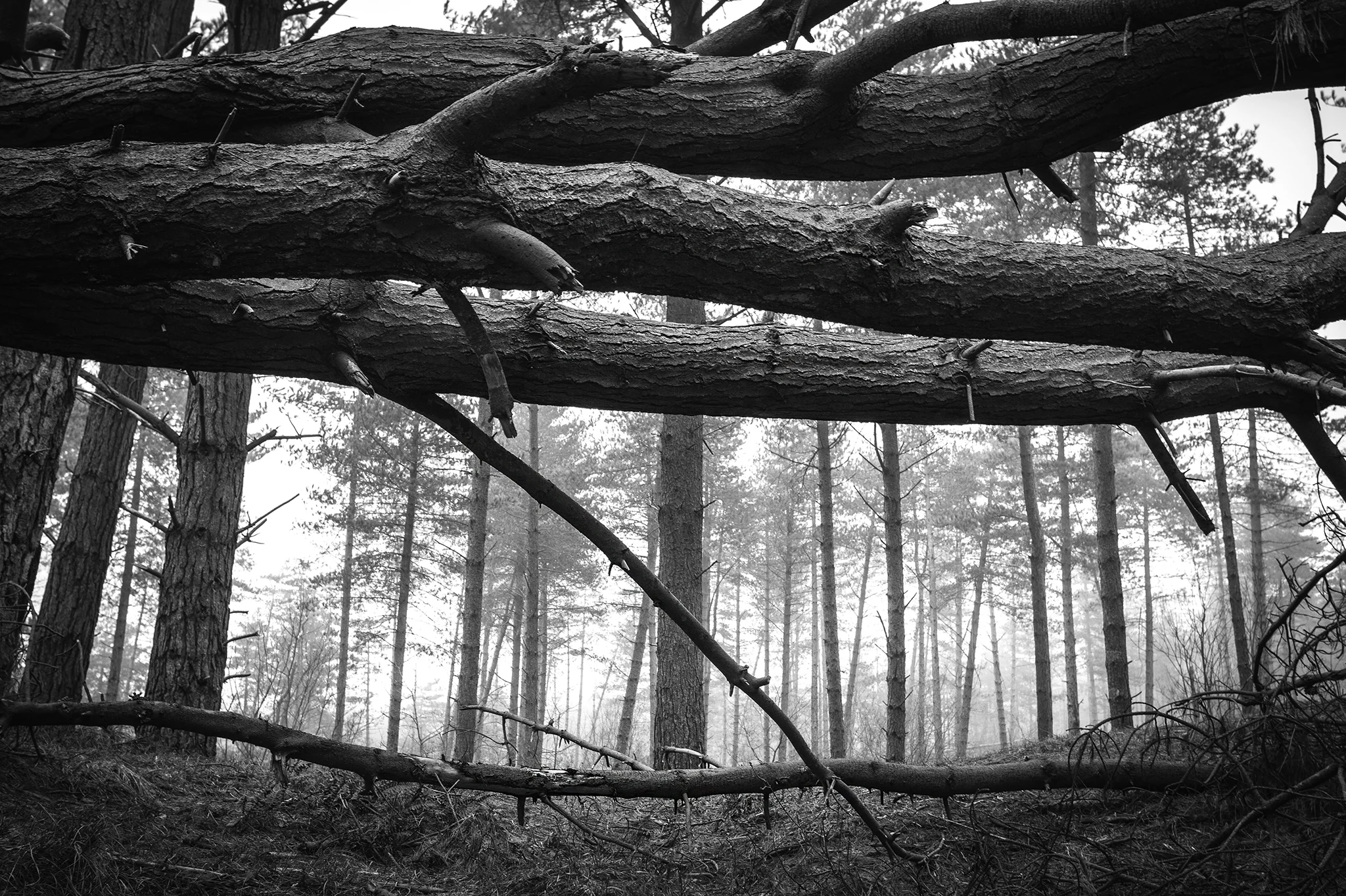 1976, Soligor 28mm f/2.8 Wide . 1/15 sec at f/9 ISO400.