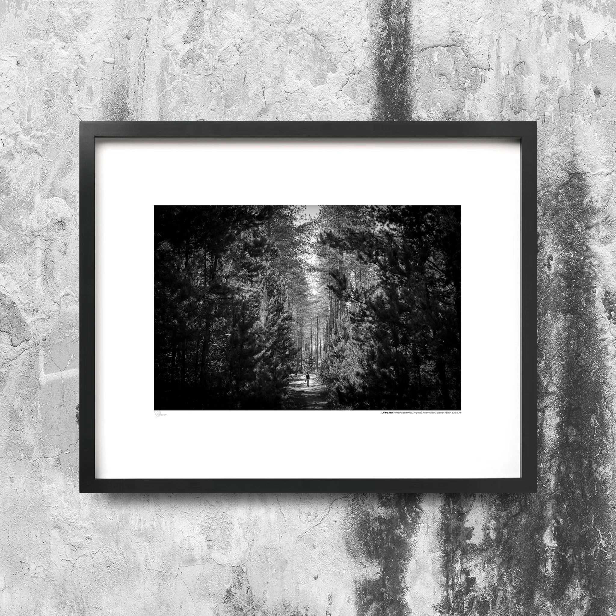 31_ON_THE_PATH_FRAMED.jpg