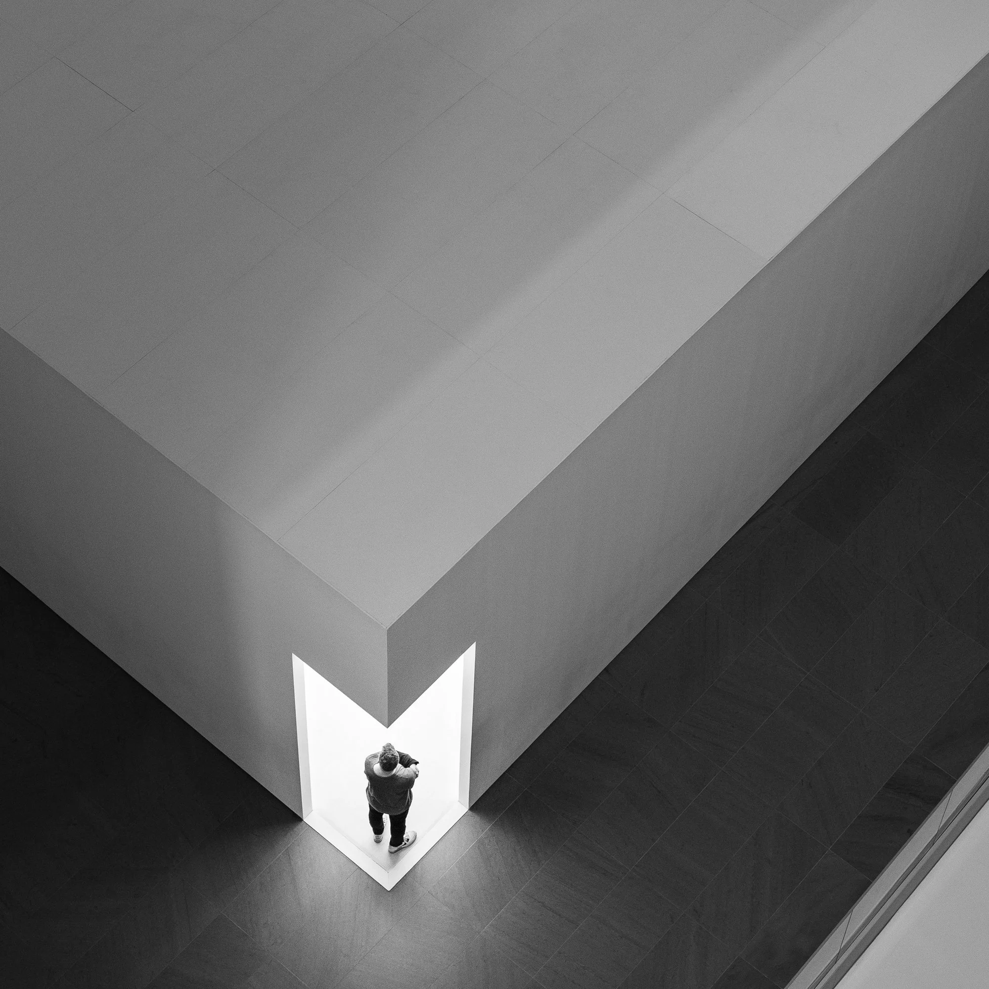 MOMA03.jpg