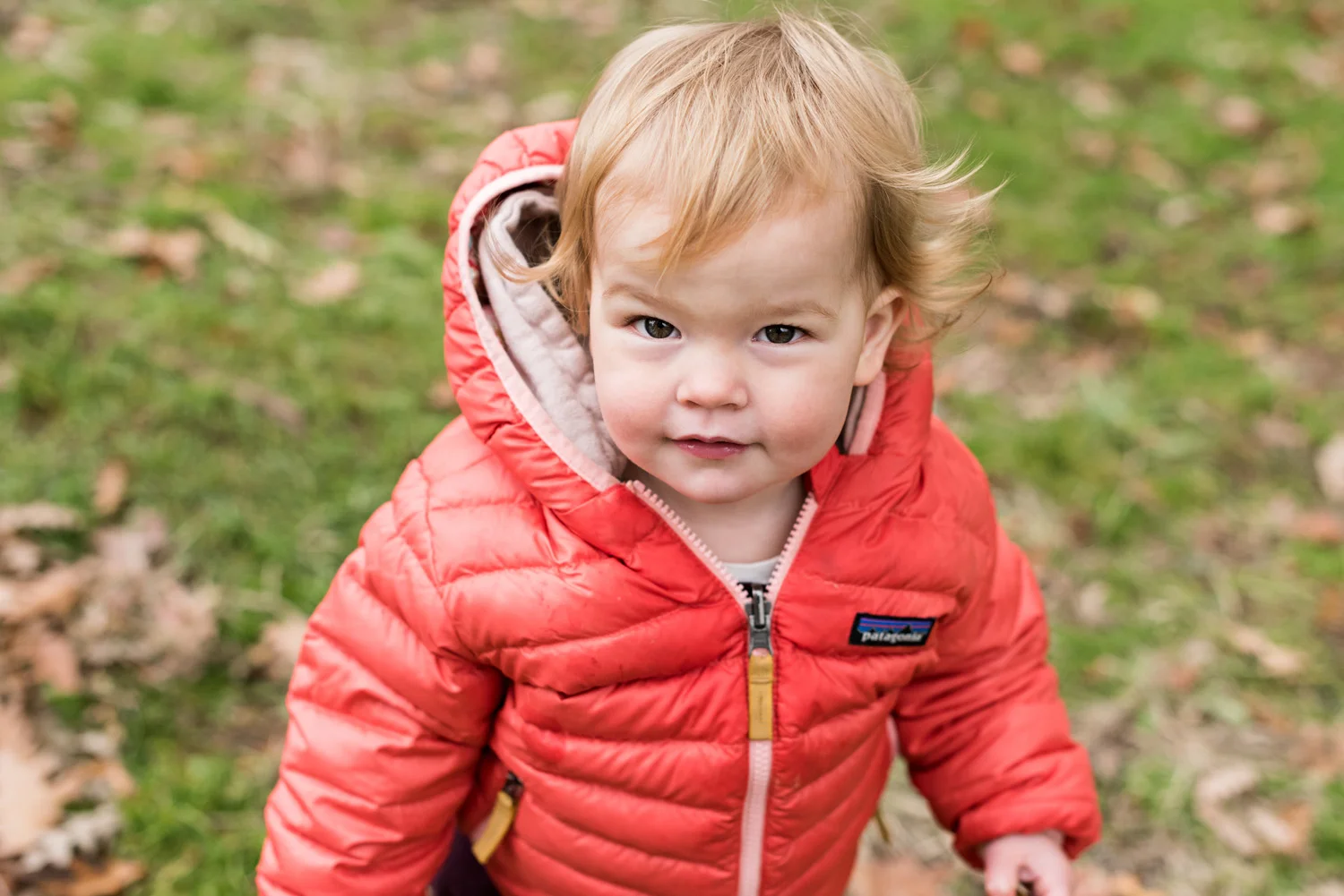 Fort Greene Baby Photographer-11182018_11.jpg